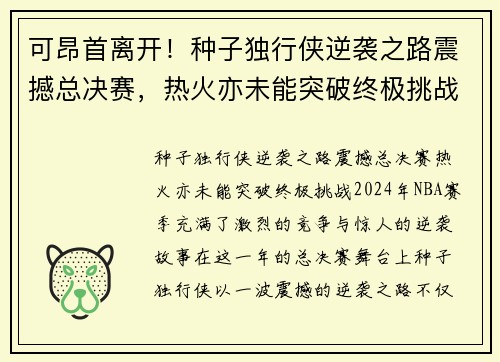 可昂首离开！种子独行侠逆袭之路震撼总决赛，热火亦未能突破终极挑战